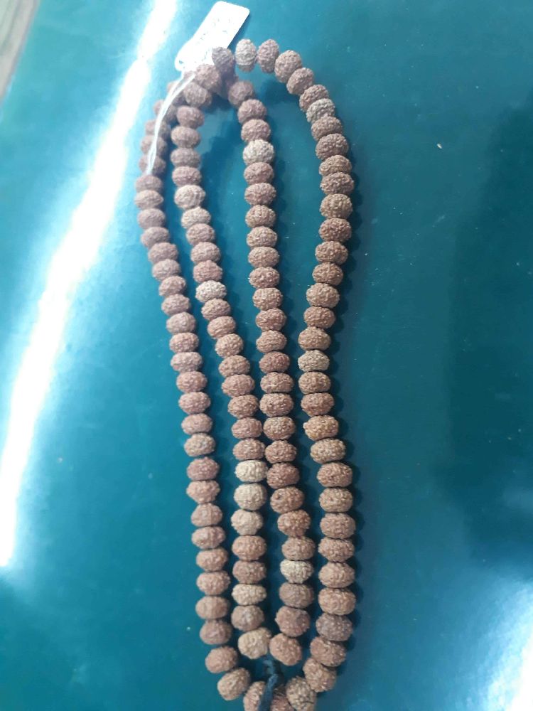 A vibrant display showcasing various authentic Rudraksha beads, highlighting their unique shapes and mukhis 10